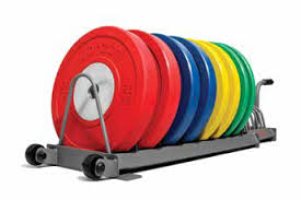 Jordan Olympic Training Disc