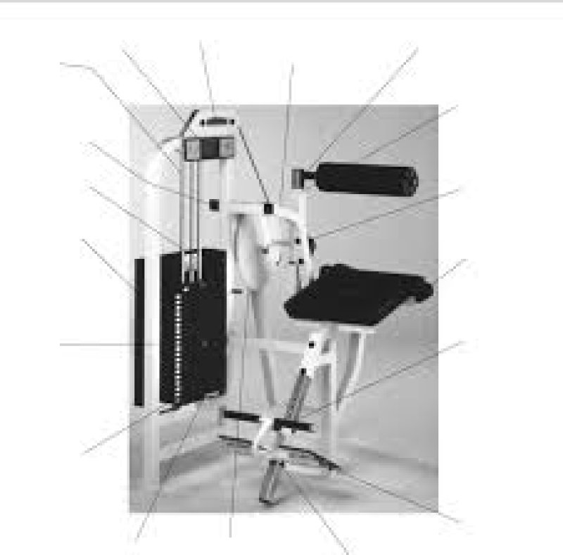 Life Fitness Pro 9000 Low Back Extension