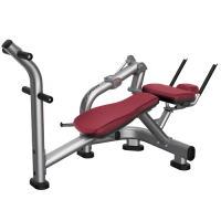 Signature Abdominal Crunch Bench