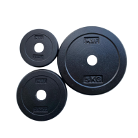 SN cast iron disc, 30 mm, different weights